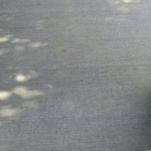 Meet your Posher, Travis